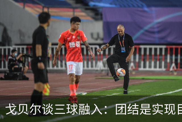 戈贝尔谈三球融入：团结是实现目标的关键
